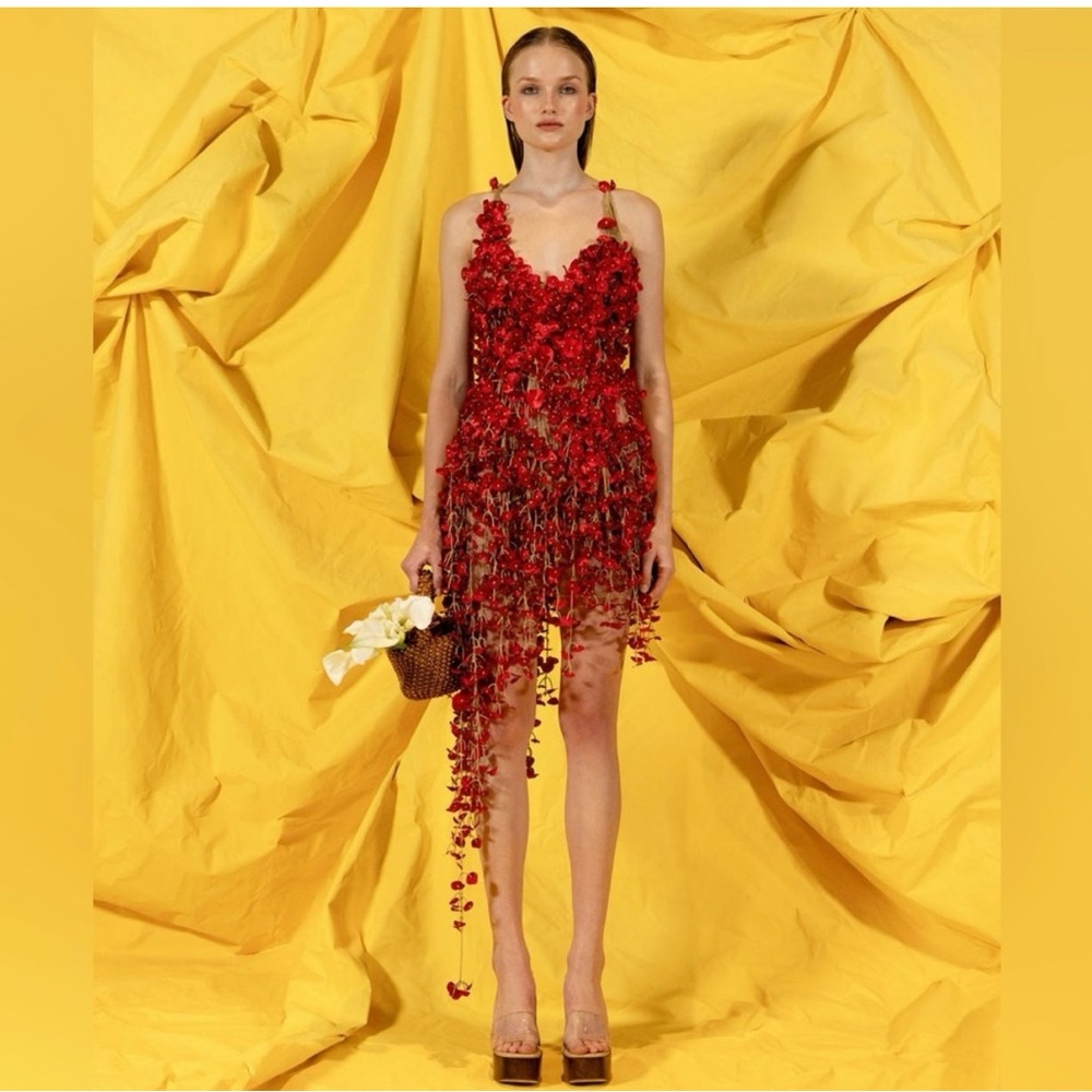 Cult Gaia Ciela Red Gown Dress Appliqué Size Large